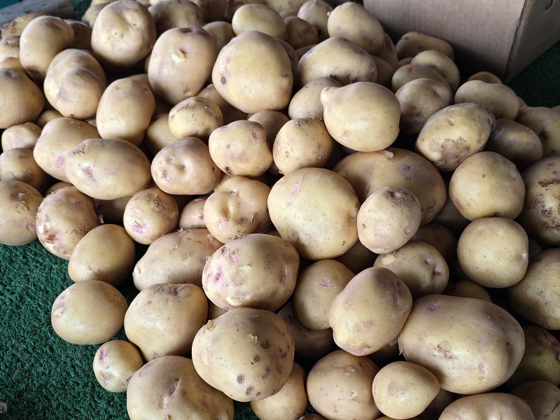 potato